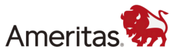 Partner 21